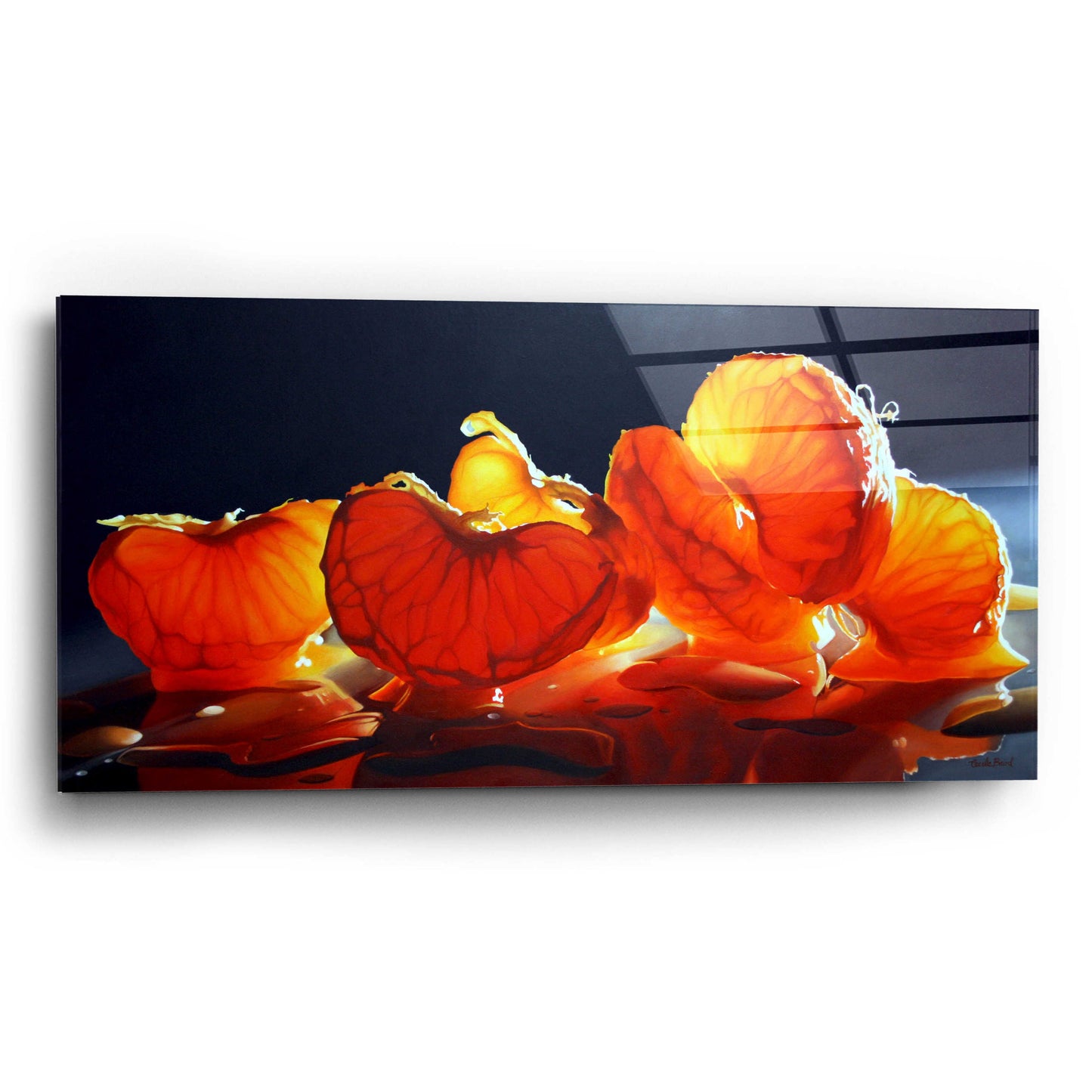 Epic Art 'Mandarin Orange' by Cecile Baird, Acrylic Glass Wall Art,24x12