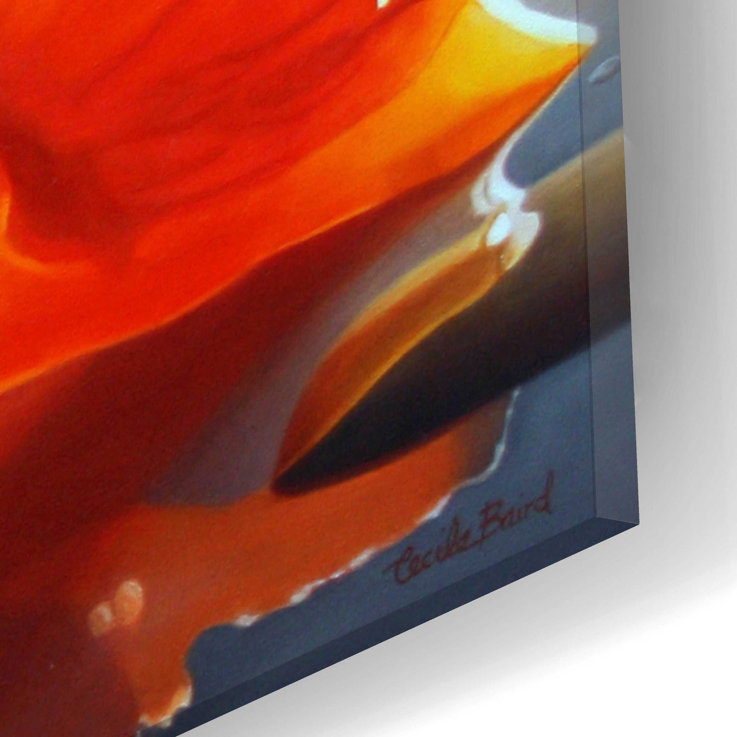 Epic Art 'Mandarin Orange' by Cecile Baird, Acrylic Glass Wall Art,24x12