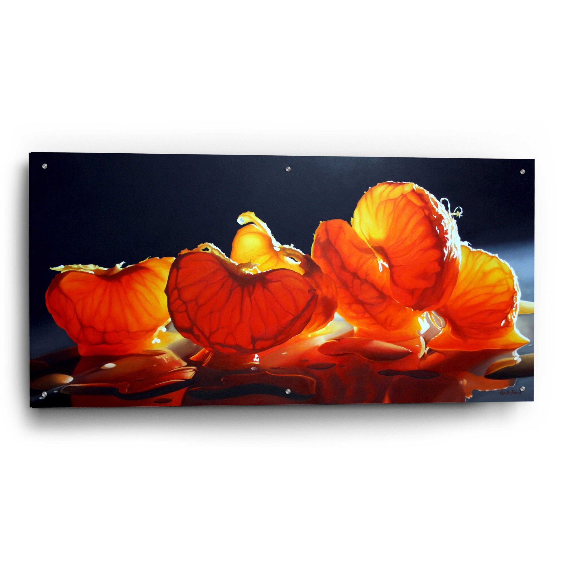 Epic Art 'Mandarin Orange' by Cecile Baird, Acrylic Glass Wall Art,48x24