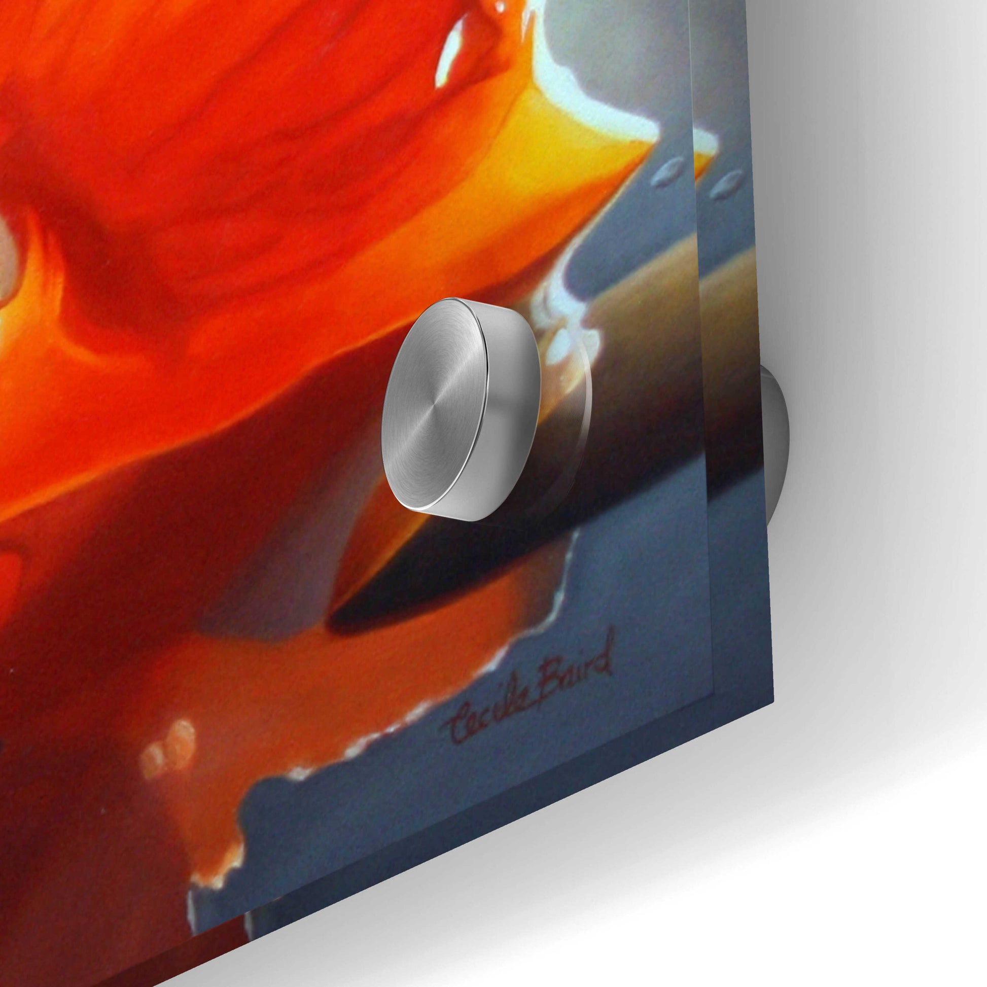 Epic Art 'Mandarin Orange' by Cecile Baird, Acrylic Glass Wall Art,48x24