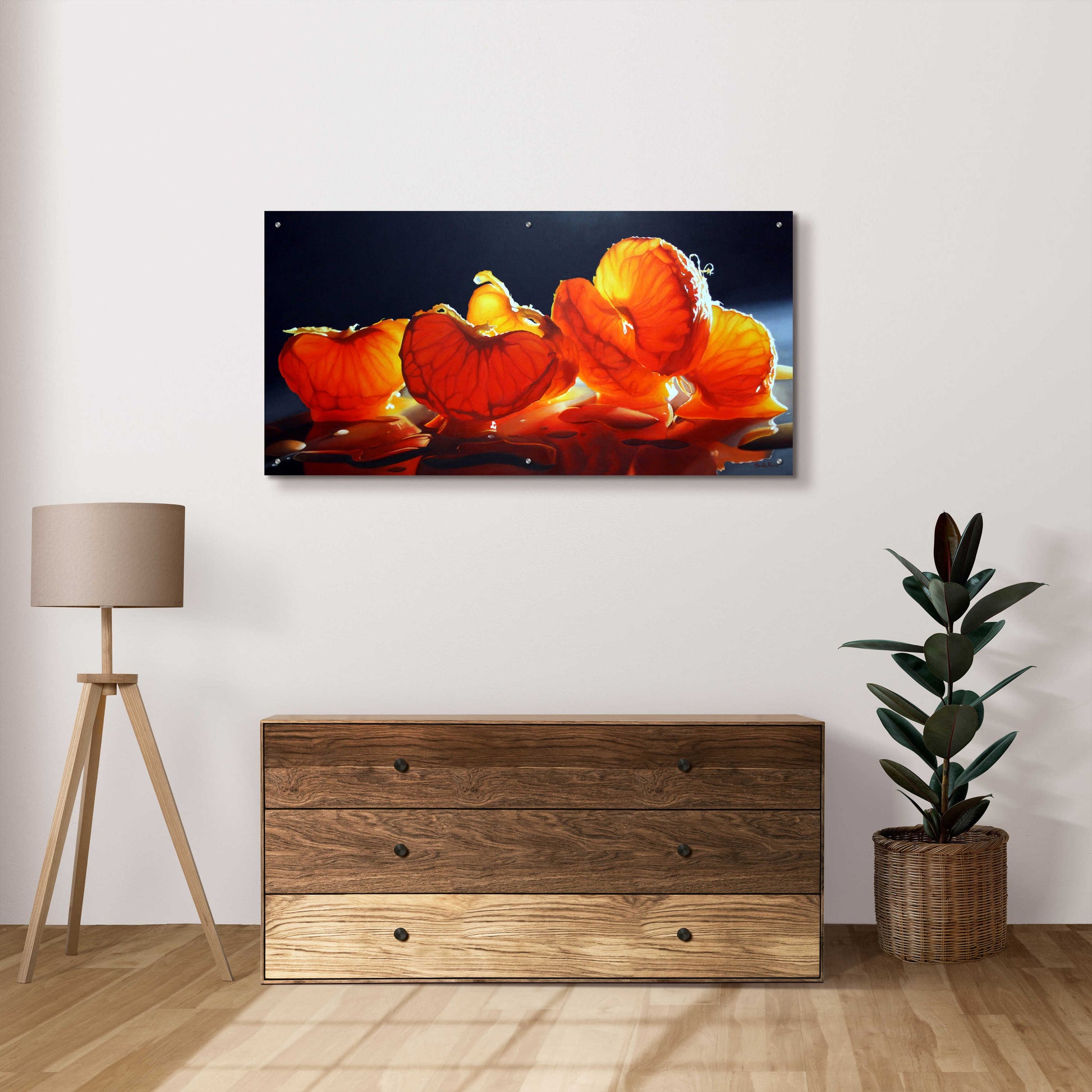 Epic Art 'Mandarin Orange' by Cecile Baird, Acrylic Glass Wall Art,48x24