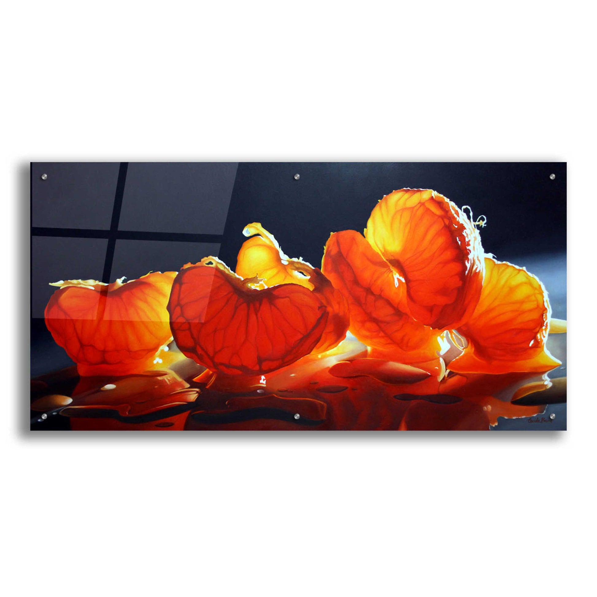 Epic Art 'Mandarin Orange' by Cecile Baird, Acrylic Glass Wall Art,48x24