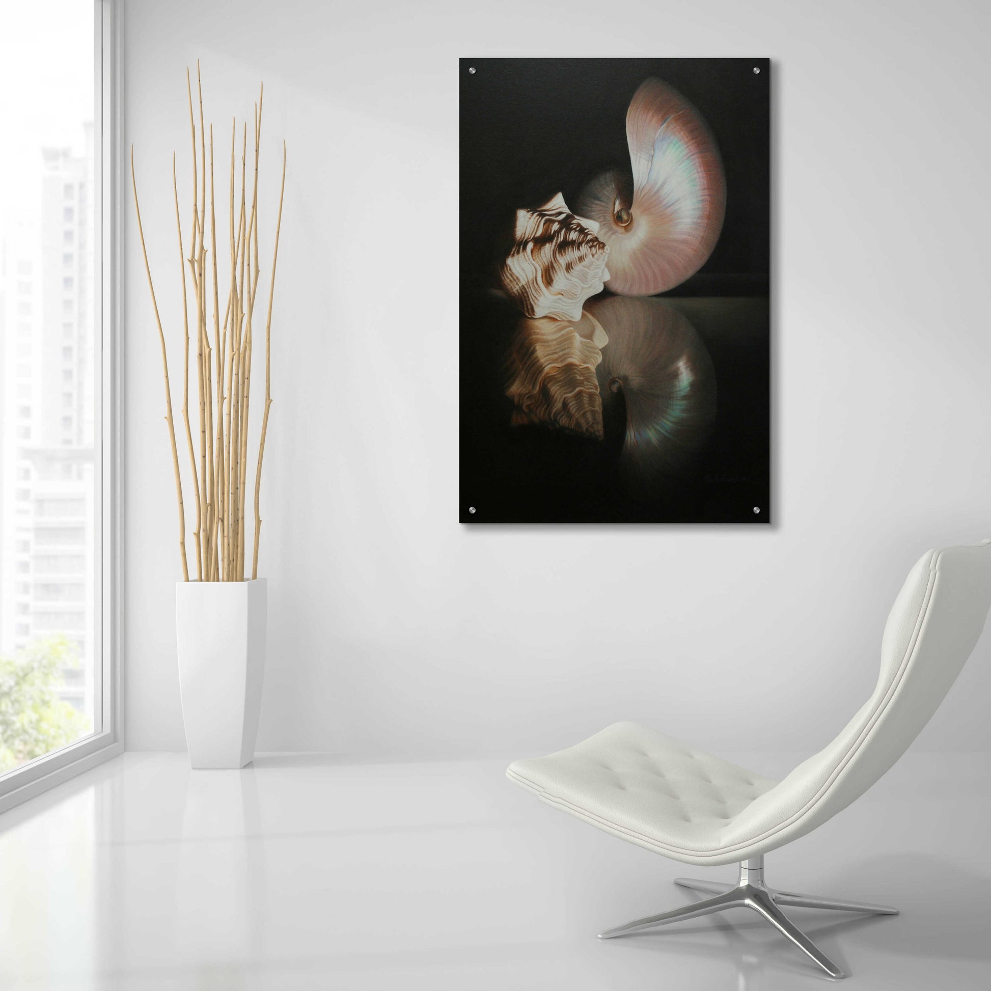 Epic Art 'Pearl Nautilus' by Cecile Baird, Acrylic Glass Wall Art,24x36