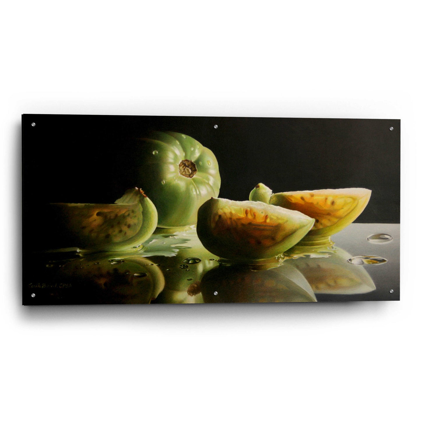 Epic Art 'Ripening' by Cecile Baird, Acrylic Glass Wall Art,48x24