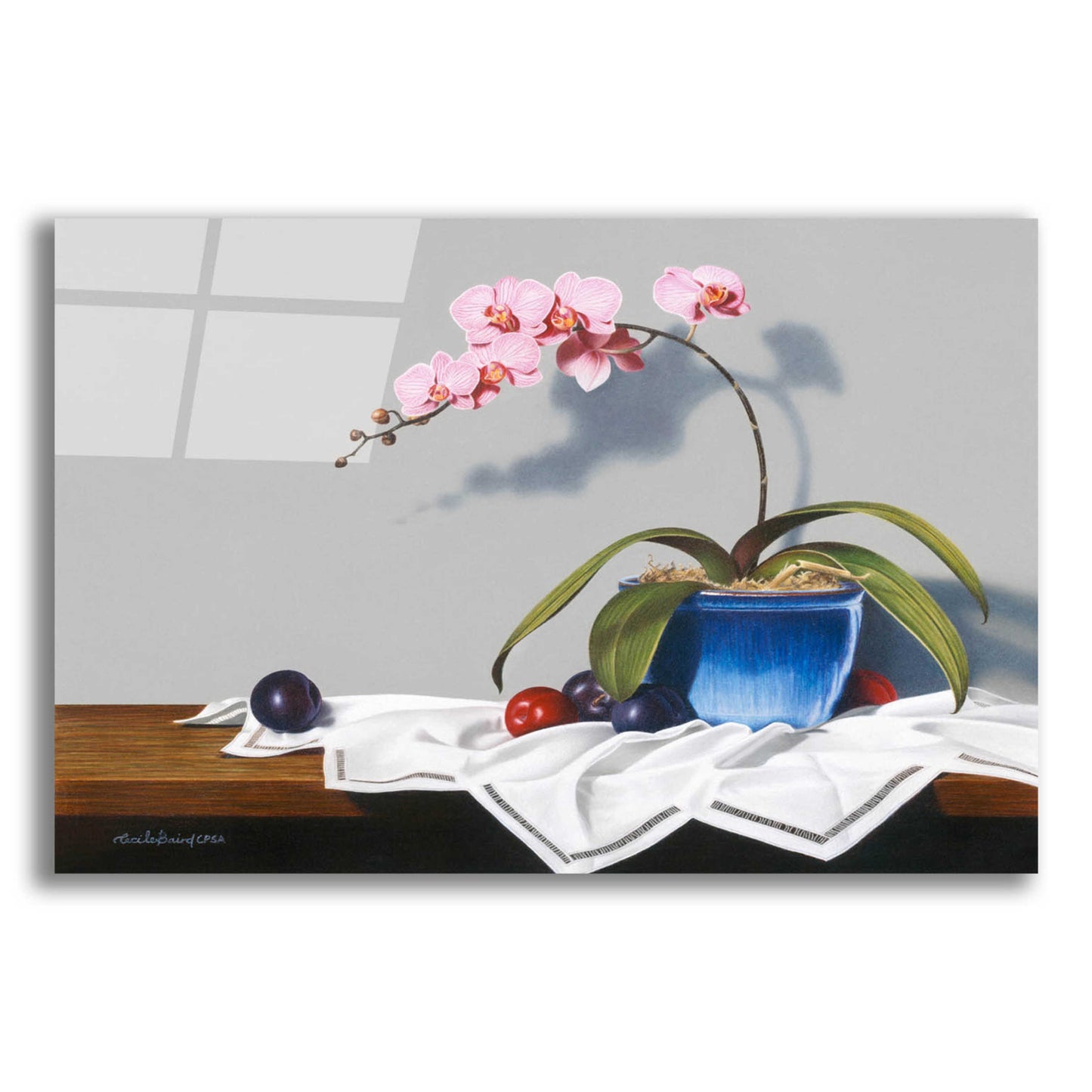 Epic Art 'Plums And Orchids' by Cecile Baird, Acrylic Glass Wall Art,16x12