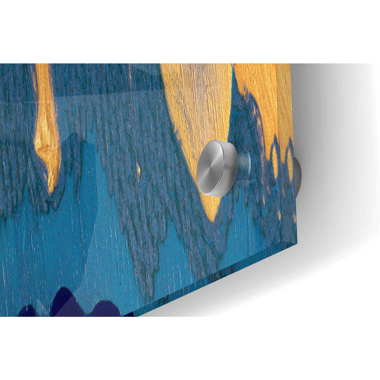 Epic Art 'Kahuna' by Alicia Ludwig, Acrylic Glass Wall Art,48x24