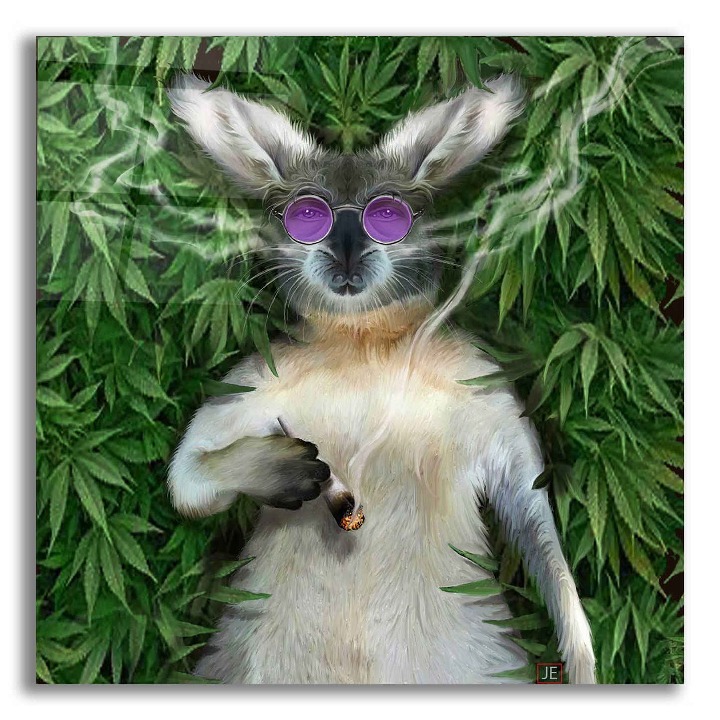 Epic Art 'Cool Kangaroo' by Enright, Acrylic Glass Wall Art,12x12