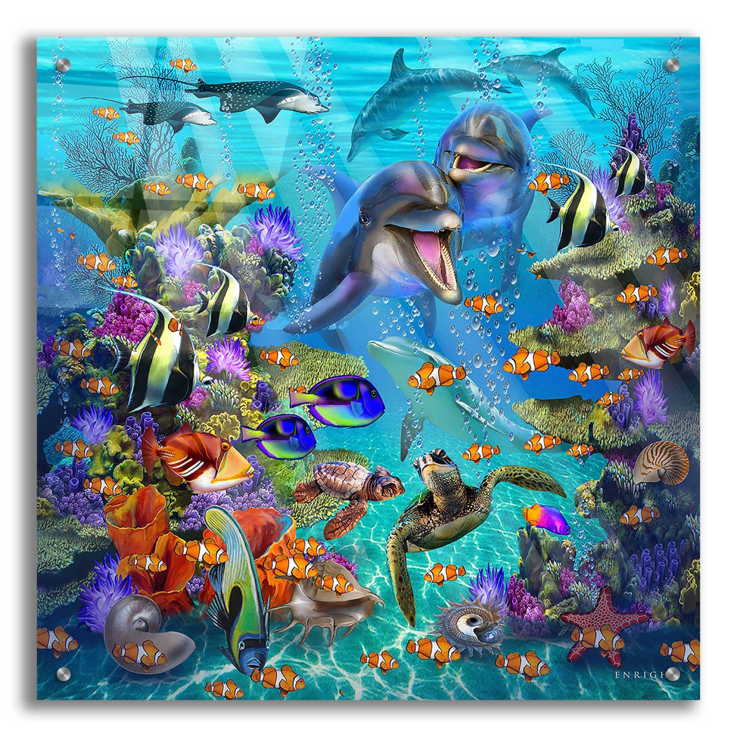 Epic Art 'Dolphin Dreamscape' by Enright, Acrylic Glass Wall Art,24x24