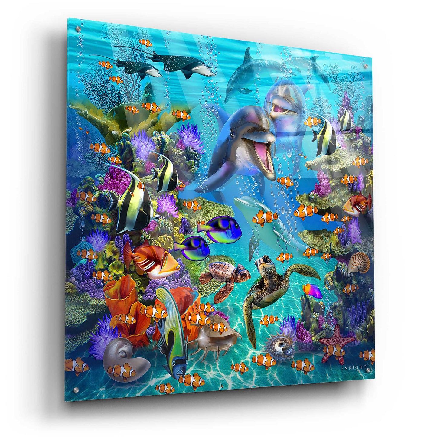 Epic Art 'Dolphin Dreamscape' by Enright, Acrylic Glass Wall Art,36x36