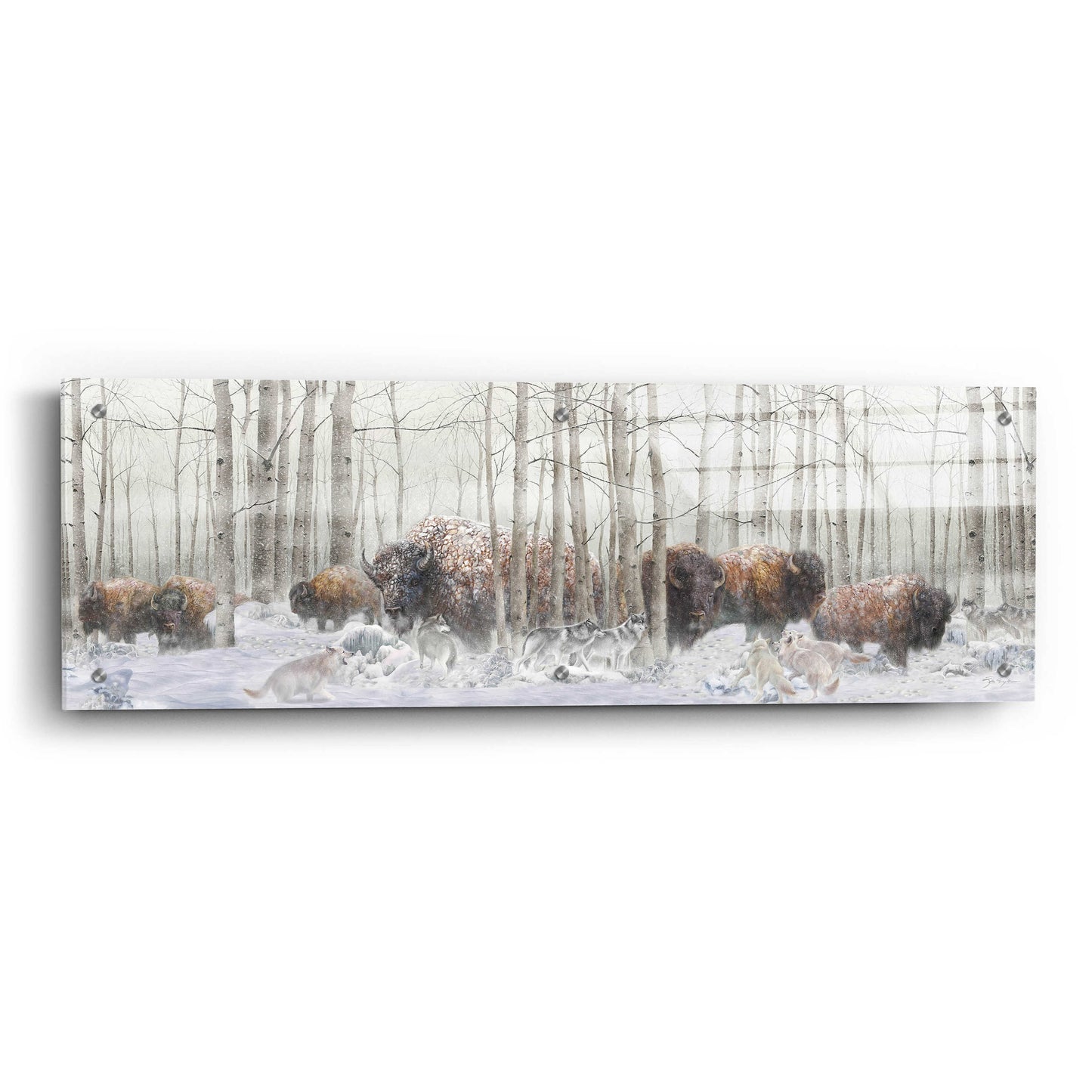 Epic Art 'Ghosts Of Winter Bison' by Enright, Acrylic Glass Wall Art,36x12