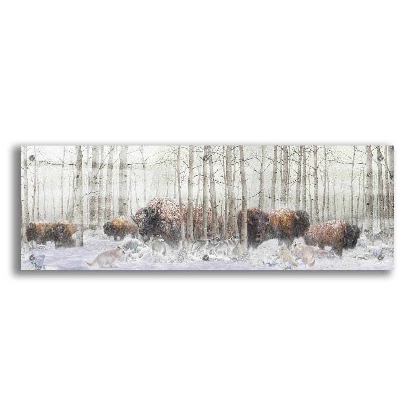 Epic Art 'Ghosts Of Winter Bison' by Enright, Acrylic Glass Wall Art,36x12