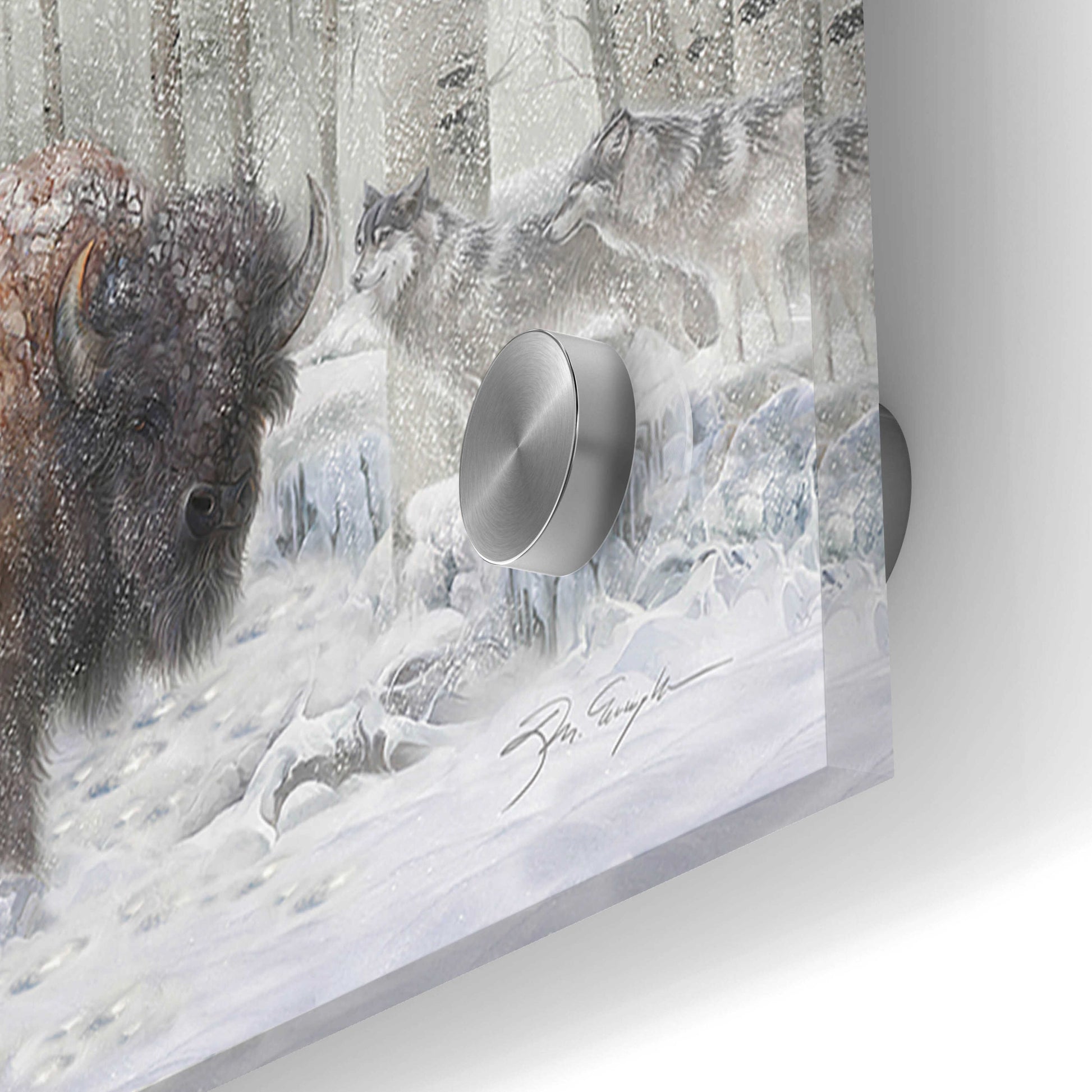 Epic Art 'Ghosts Of Winter Bison' by Enright, Acrylic Glass Wall Art,48x16