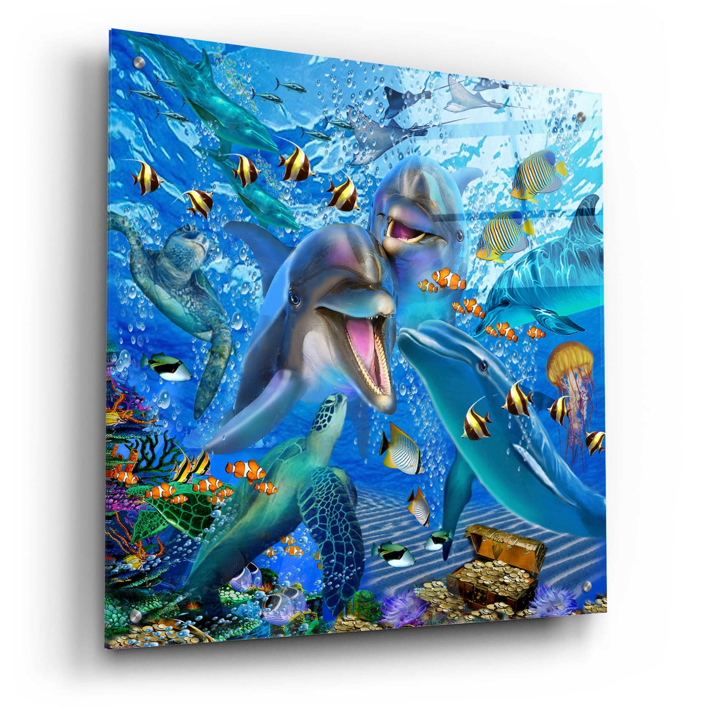 Epic Art 'Laughing Dolphins 3' by Enright, Acrylic Glass Wall Art,24x24