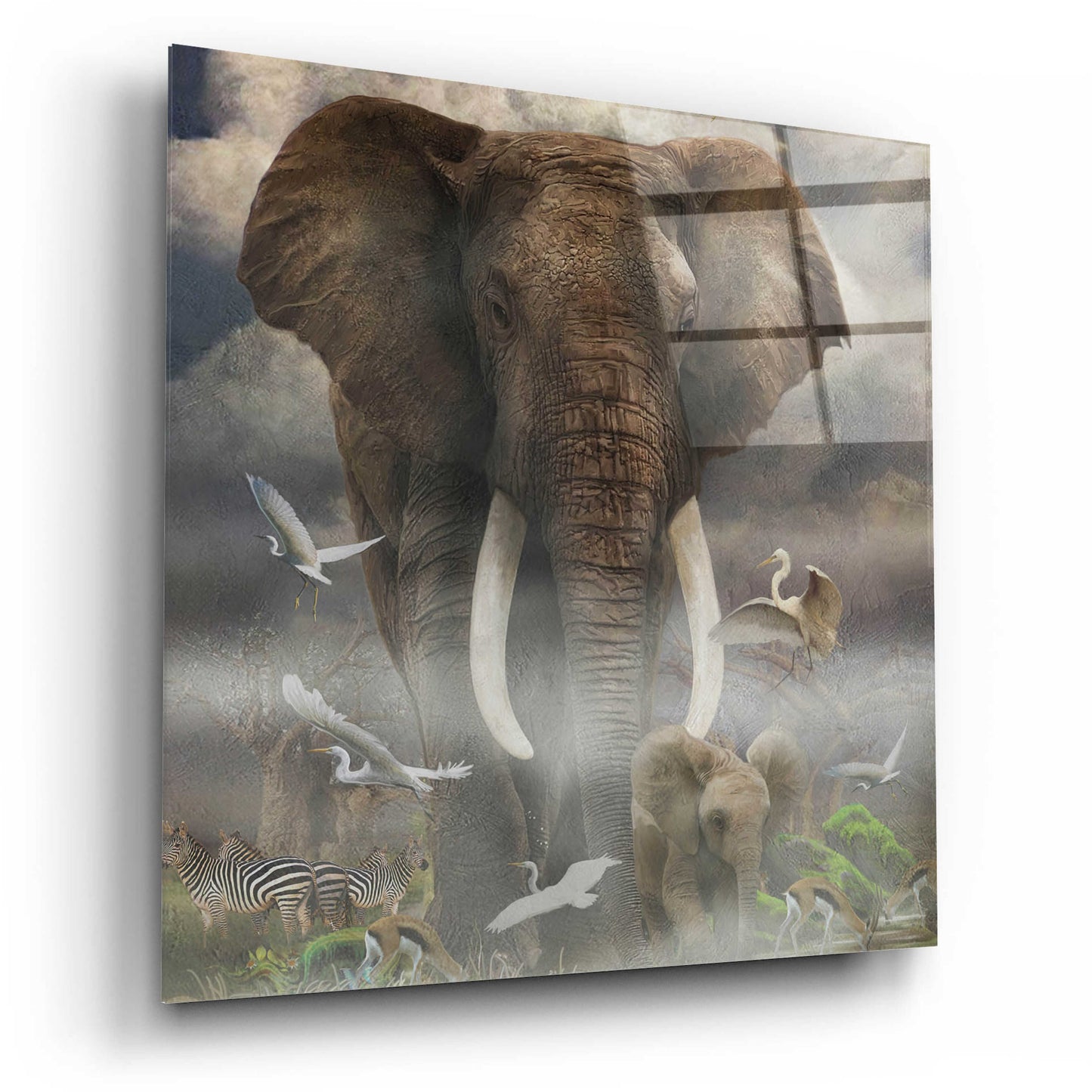Epic Art 'Mighty Elephant' by Enright, Acrylic Glass Wall Art,12x12