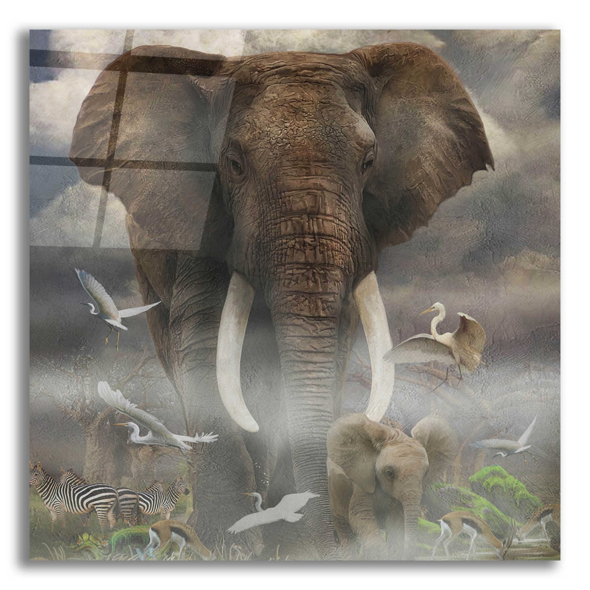 Epic Art 'Mighty Elephant' by Enright, Acrylic Glass Wall Art