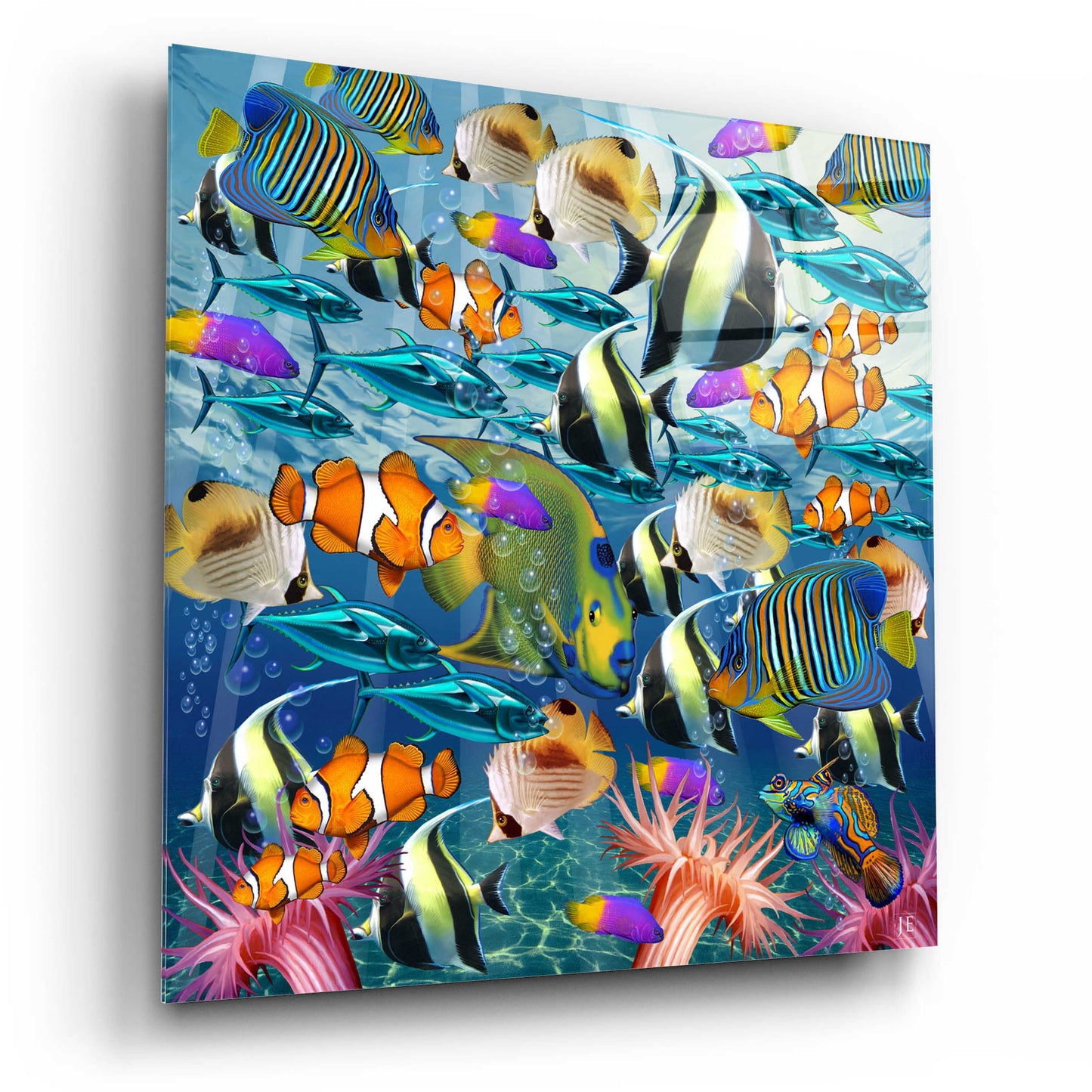 Epic Art 'Multi Fish Dance' by Enright, Acrylic Glass Wall Art,12x12