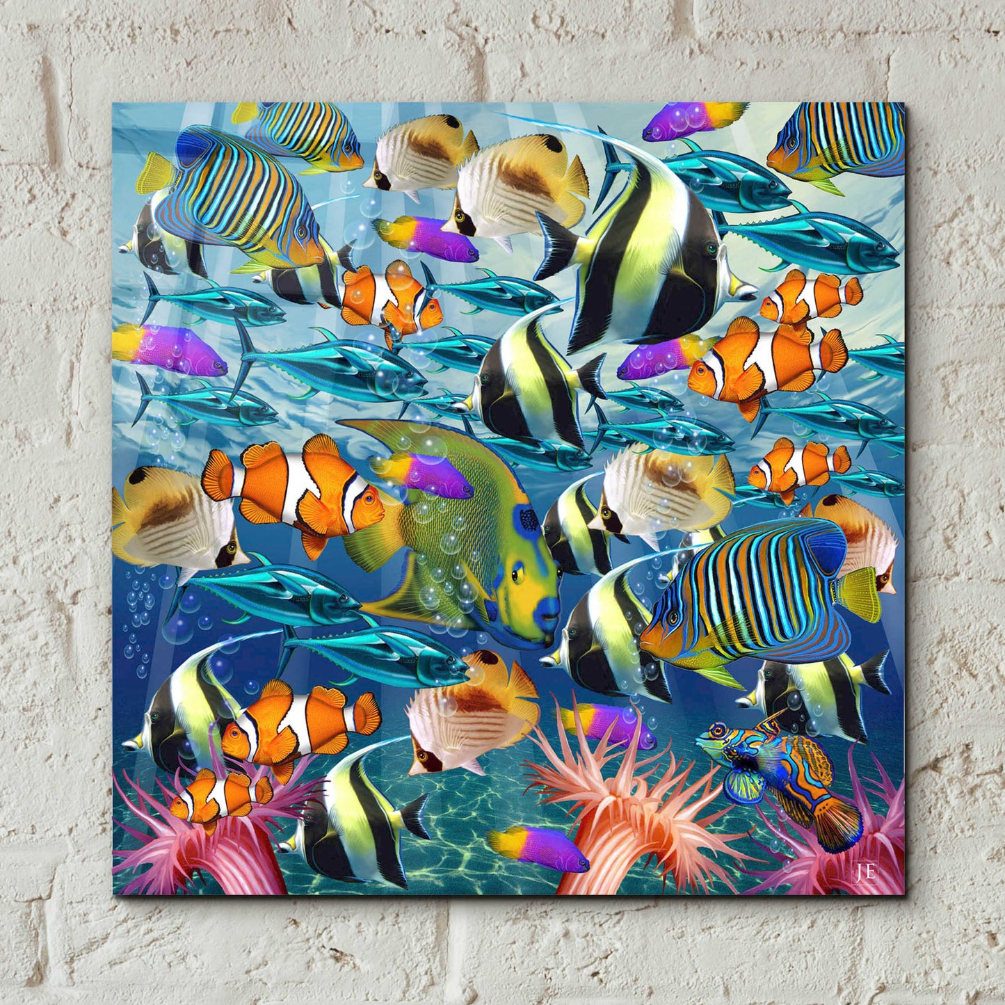 Epic Art 'Multi Fish Dance' by Enright, Acrylic Glass Wall Art,12x12