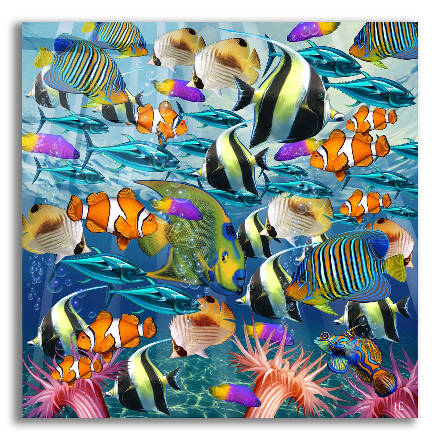 Epic Art 'Multi Fish Dance' by Enright, Acrylic Glass Wall Art,12x12