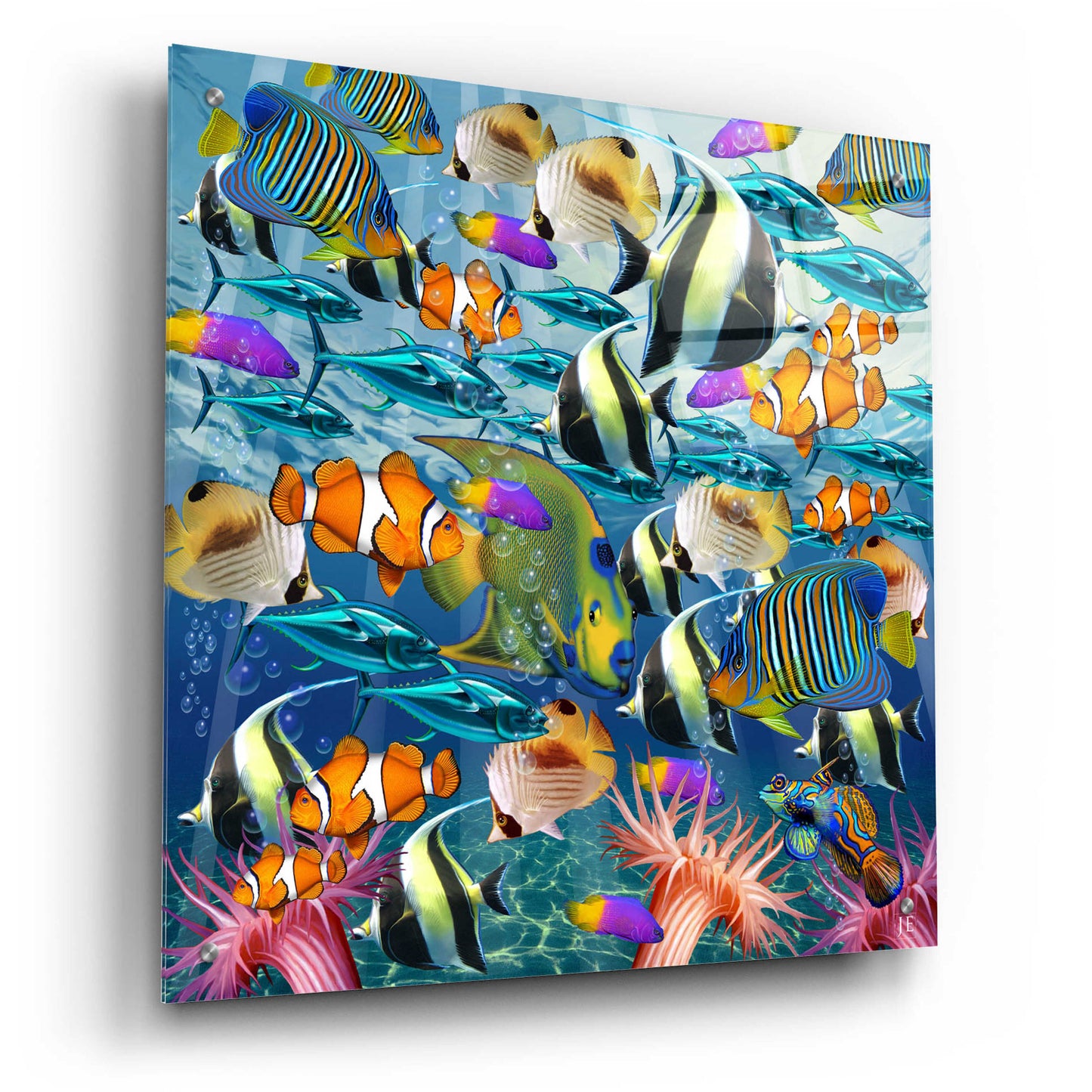 Epic Art 'Multi Fish Dance' by Enright, Acrylic Glass Wall Art,24x24