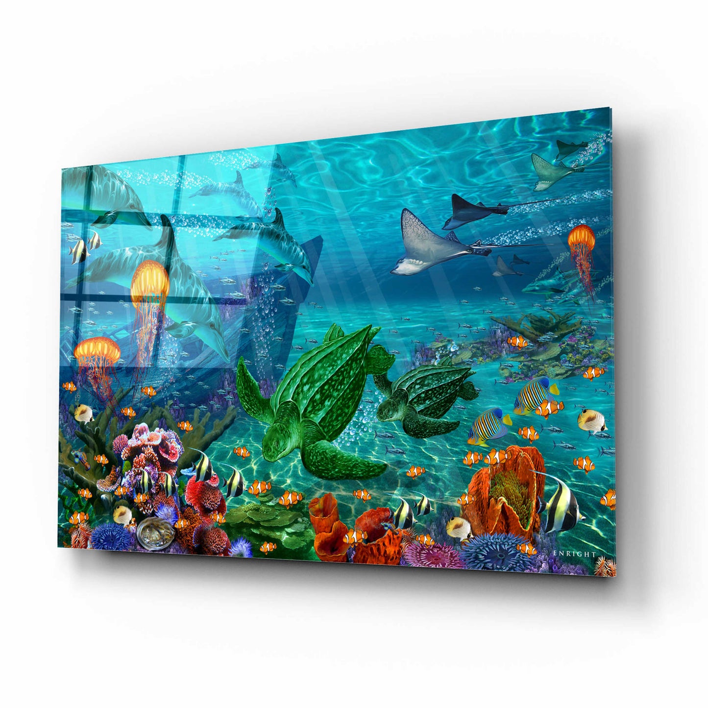 Epic Art 'Neptunes World' by Enright, Acrylic Glass Wall Art,16x12