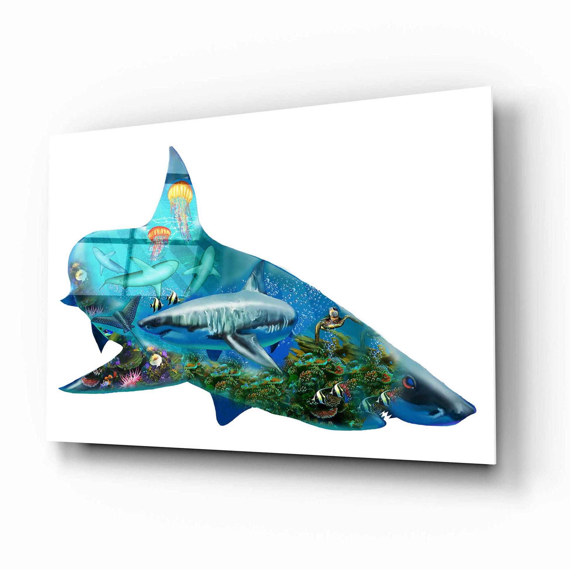 Epic Art 'Shark Bait 2300' by Enright, Acrylic Glass Wall Art,16x12