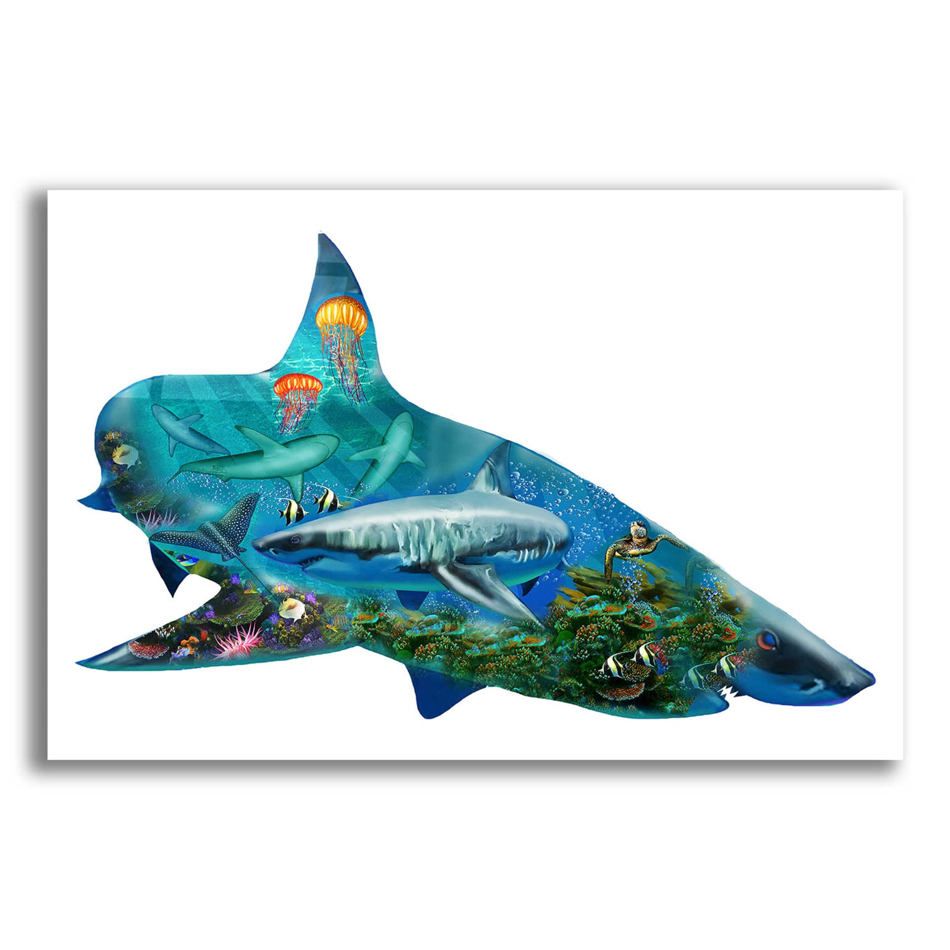 Epic Art 'Shark Bait 2300' by Enright, Acrylic Glass Wall Art,16x12