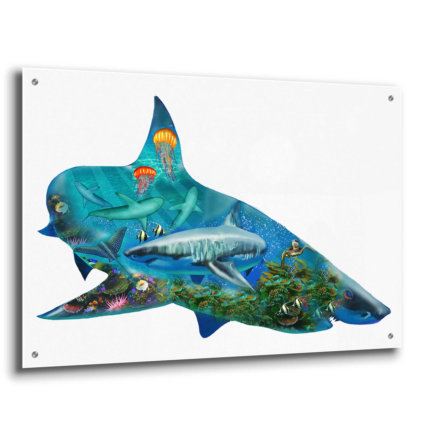 Epic Art 'Shark Bait 2300' by Enright, Acrylic Glass Wall Art,36x24