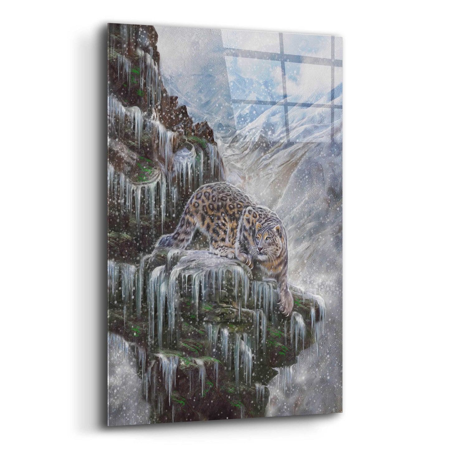 Epic Art 'Snow Leopard Valhala' by Enright, Acrylic Glass Wall Art,12x16