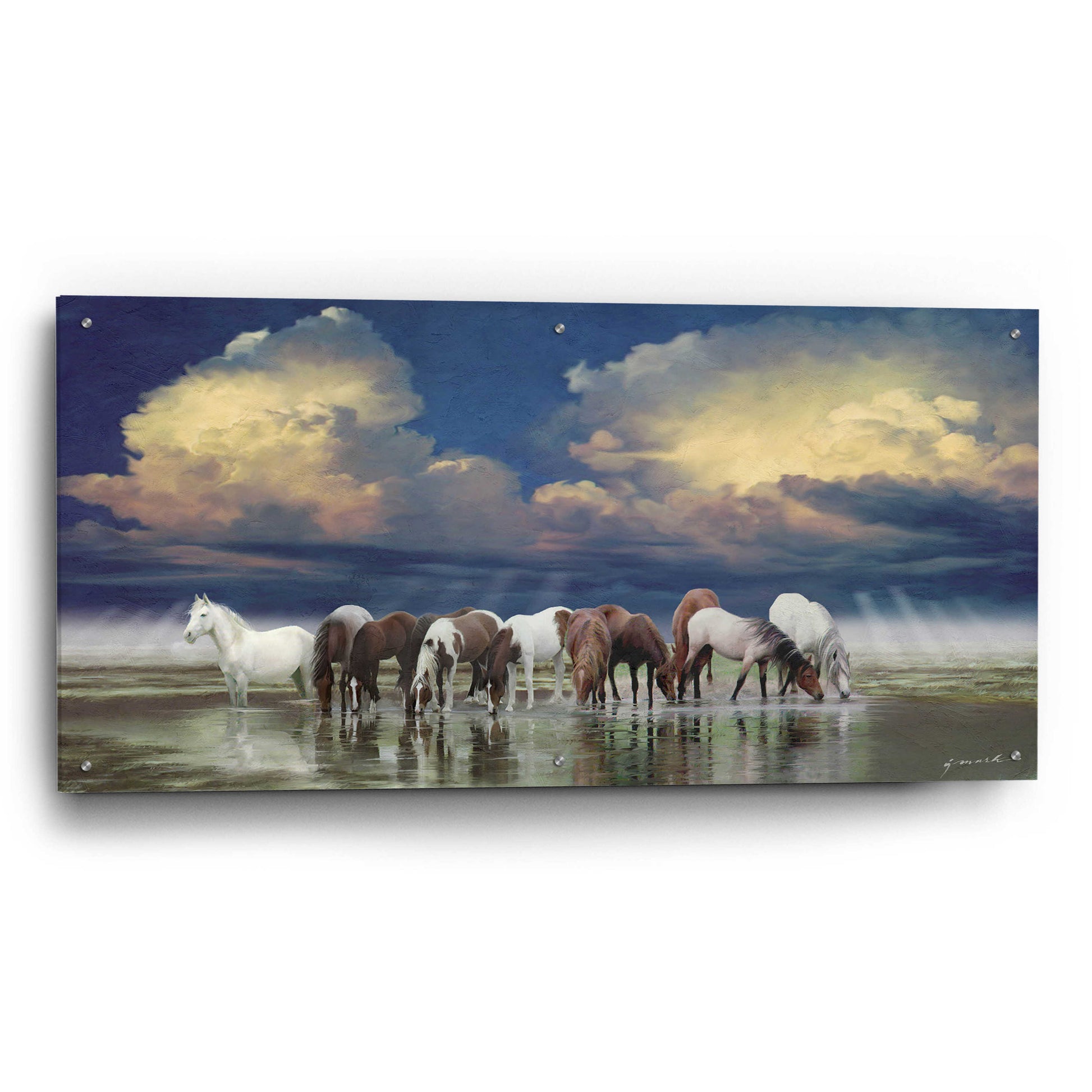 Epic Art 'The Sentinel Horses' by Enright, Acrylic Glass Wall Art,48x24