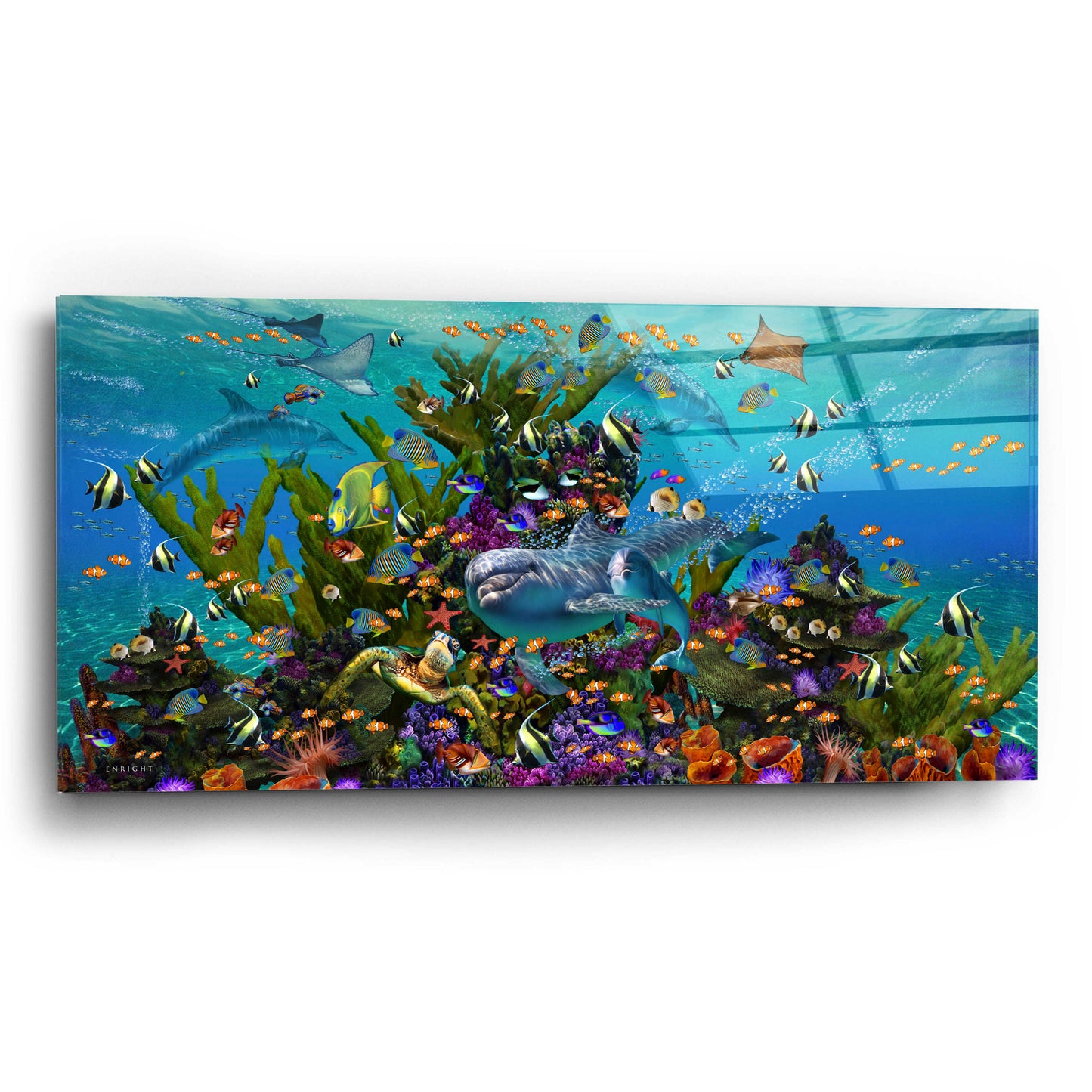 Epic Art 'Dolphin Dreams' by Enright, Acrylic Glass Wall Art,24x12