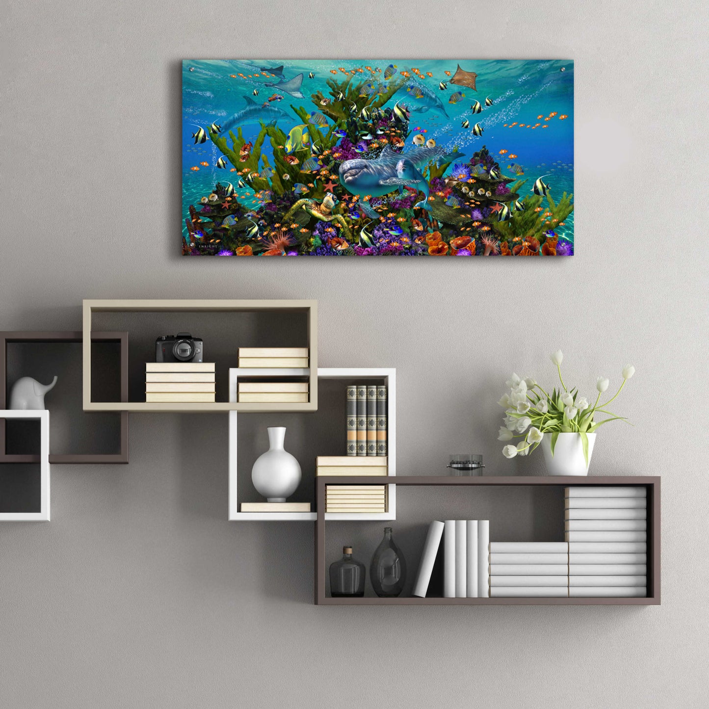 Epic Art 'Dolphin Dreams' by Enright, Acrylic Glass Wall Art,48x24