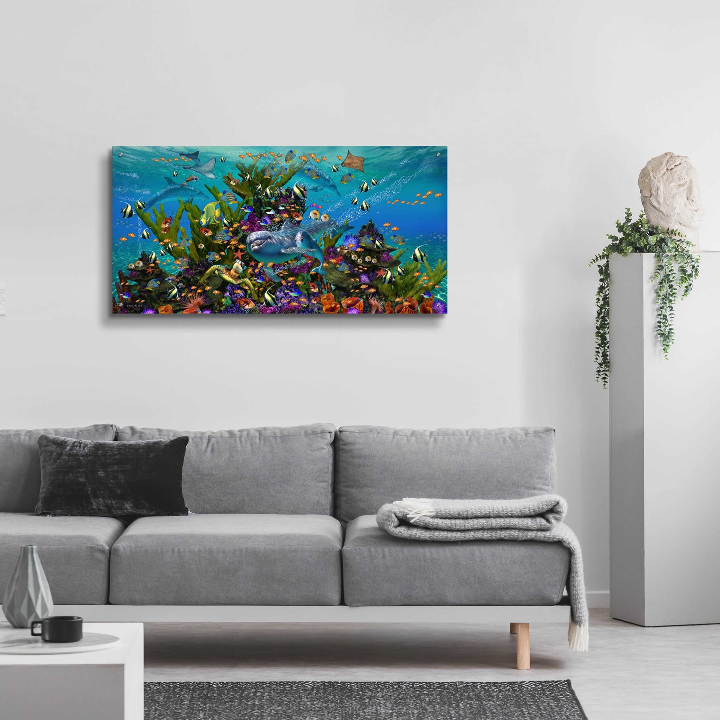 Epic Art 'Dolphin Dreams' by Enright, Acrylic Glass Wall Art,48x24