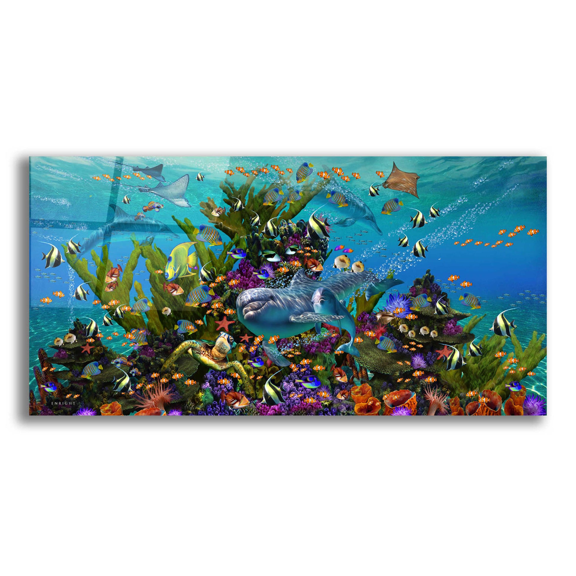 Epic Art 'Dolphin Dreams' by Enright, Acrylic Glass Wall Art