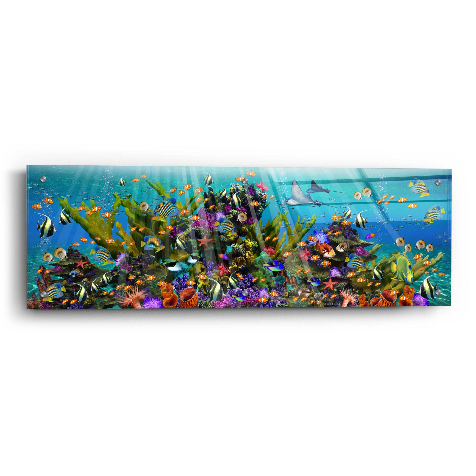 Epic Art 'The Reef Panoramic' by Enright, Acrylic Glass Wall Art,36x12