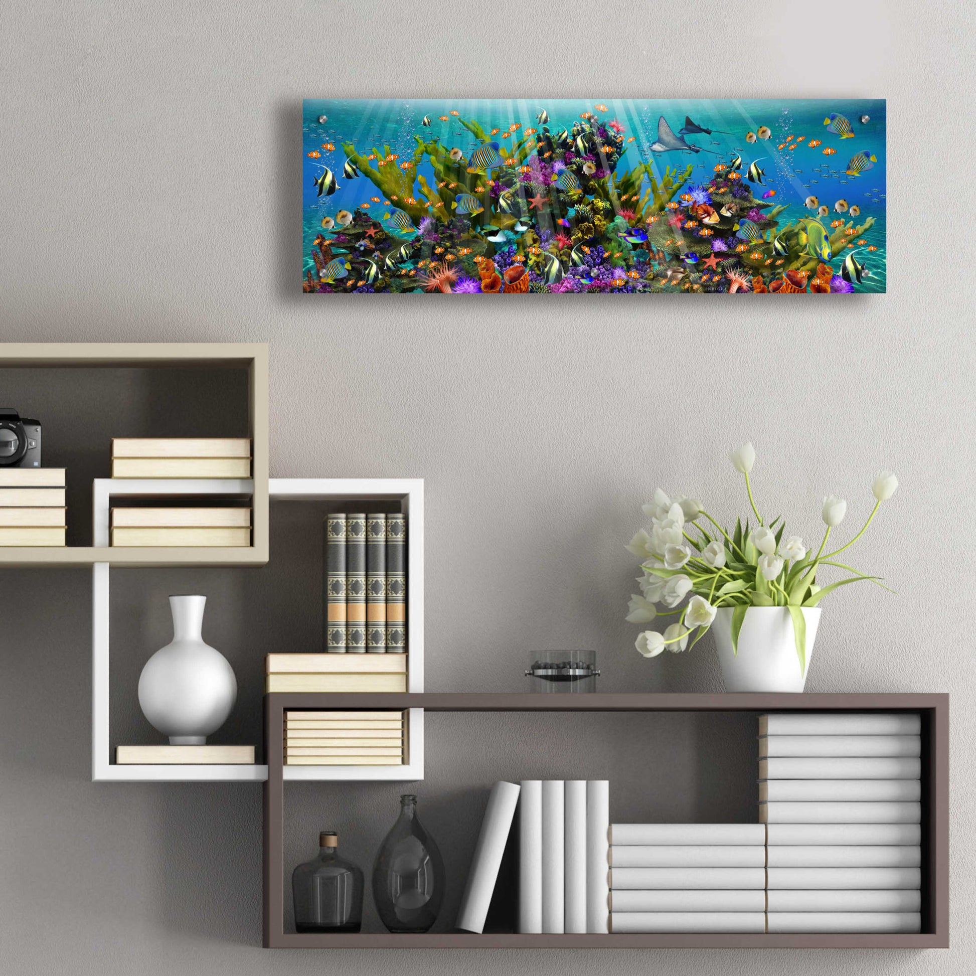 Epic Art 'The Reef Panoramic' by Enright, Acrylic Glass Wall Art,36x12