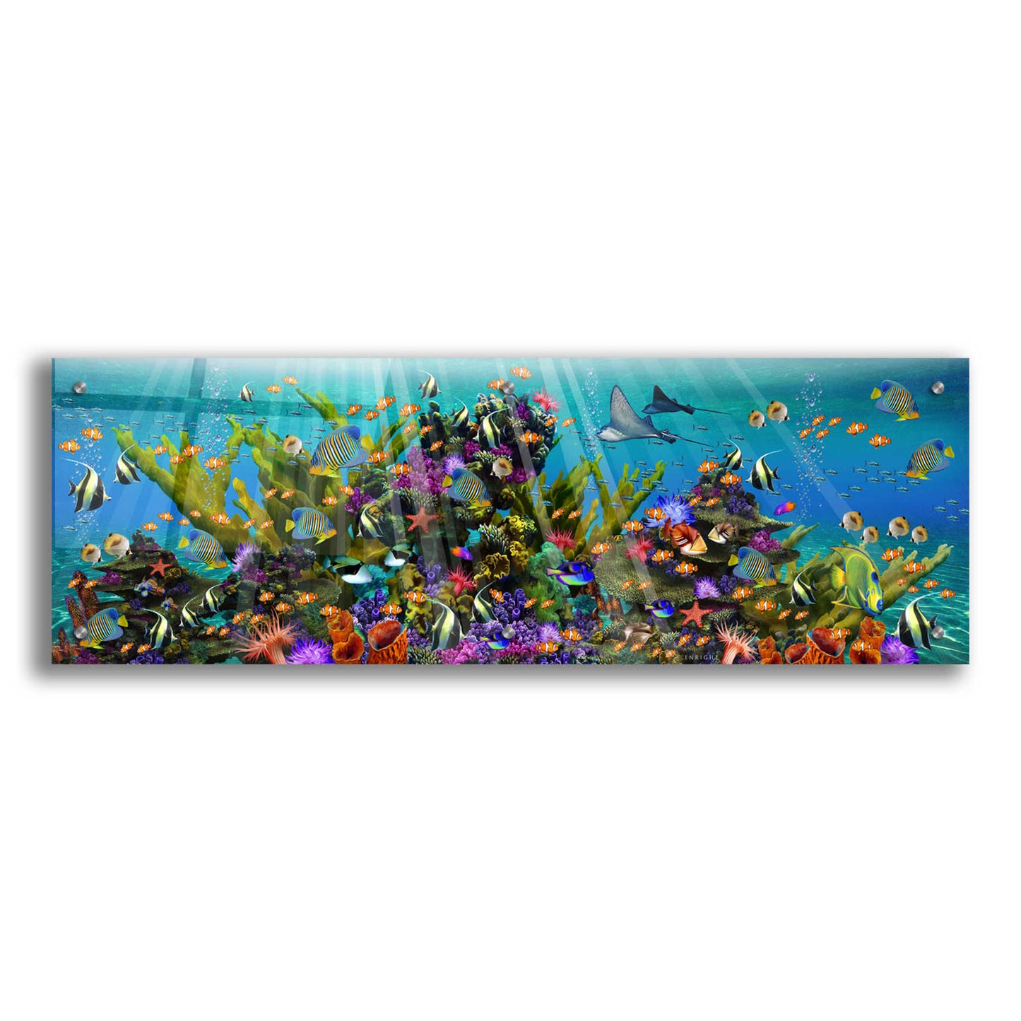 Epic Art 'The Reef Panoramic' by Enright, Acrylic Glass Wall Art,36x12