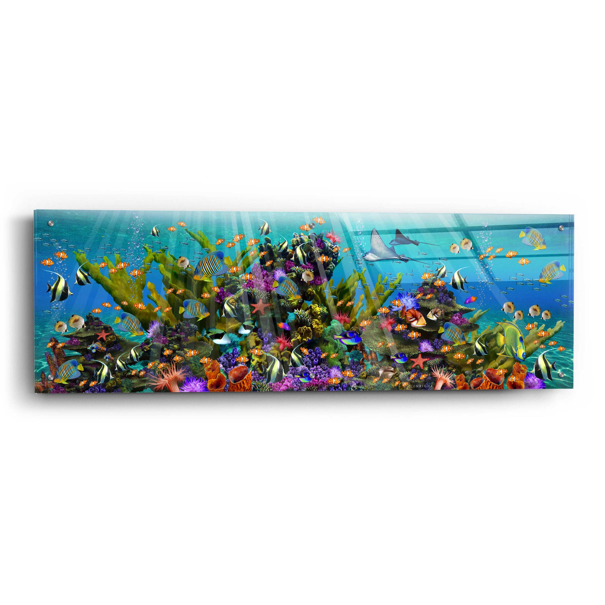 Epic Art 'The Reef Panoramic' by Enright, Acrylic Glass Wall Art,48x16