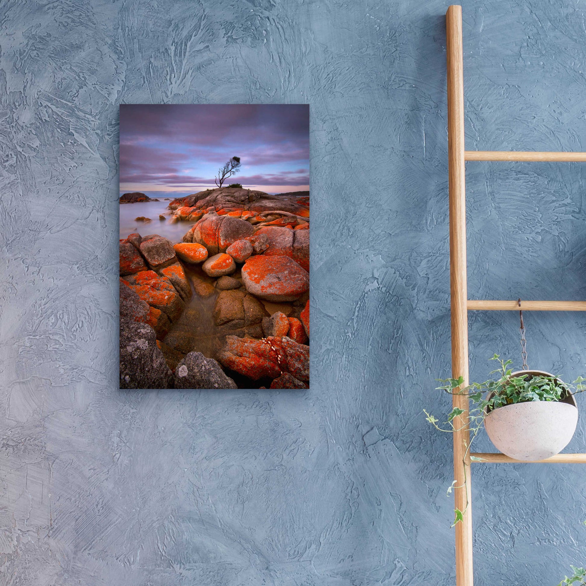 Epic Art 'Binalong Bay' by Everlook Photography, Acrylic Glass Wall Art,16x24