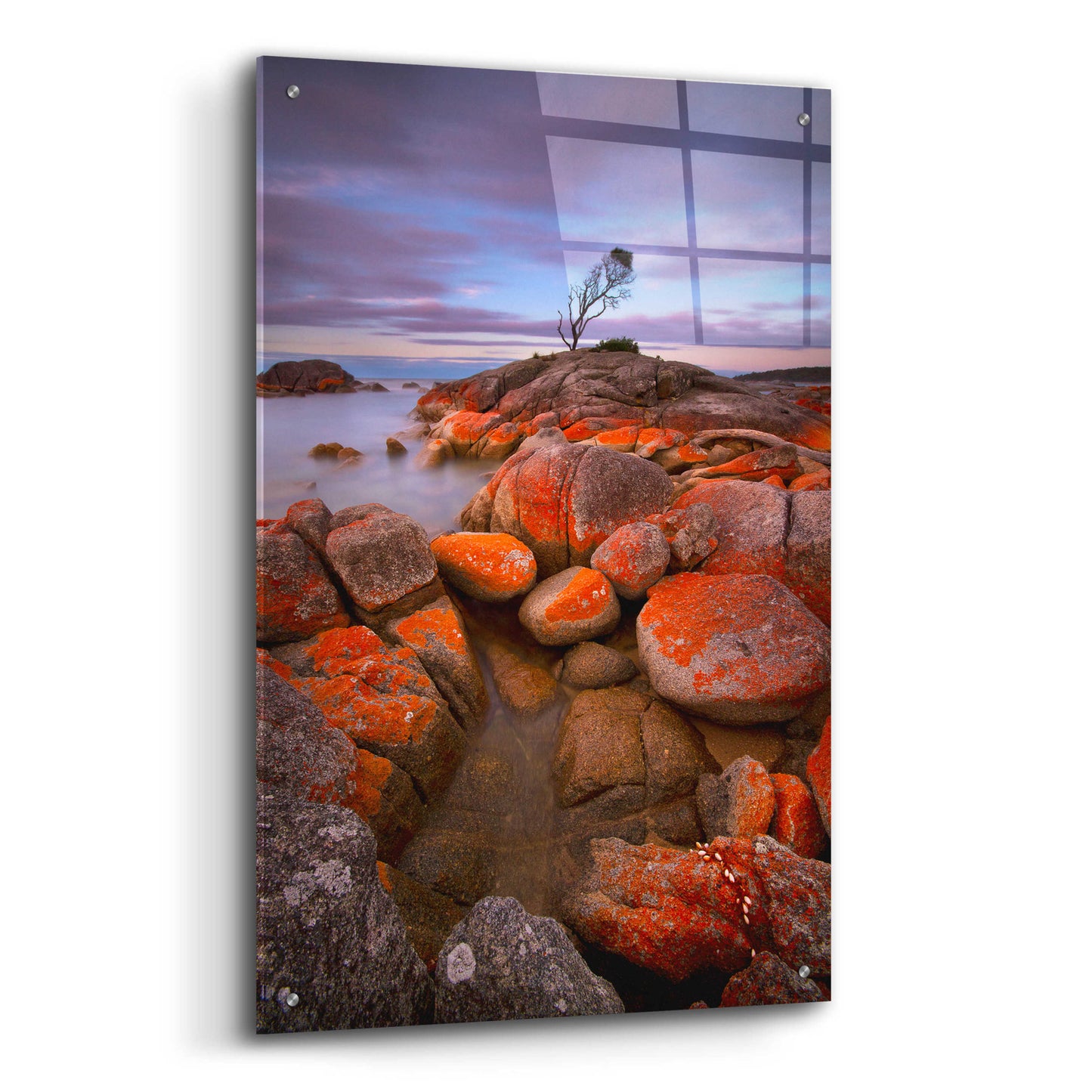 Epic Art 'Binalong Bay' by Everlook Photography, Acrylic Glass Wall Art,24x36