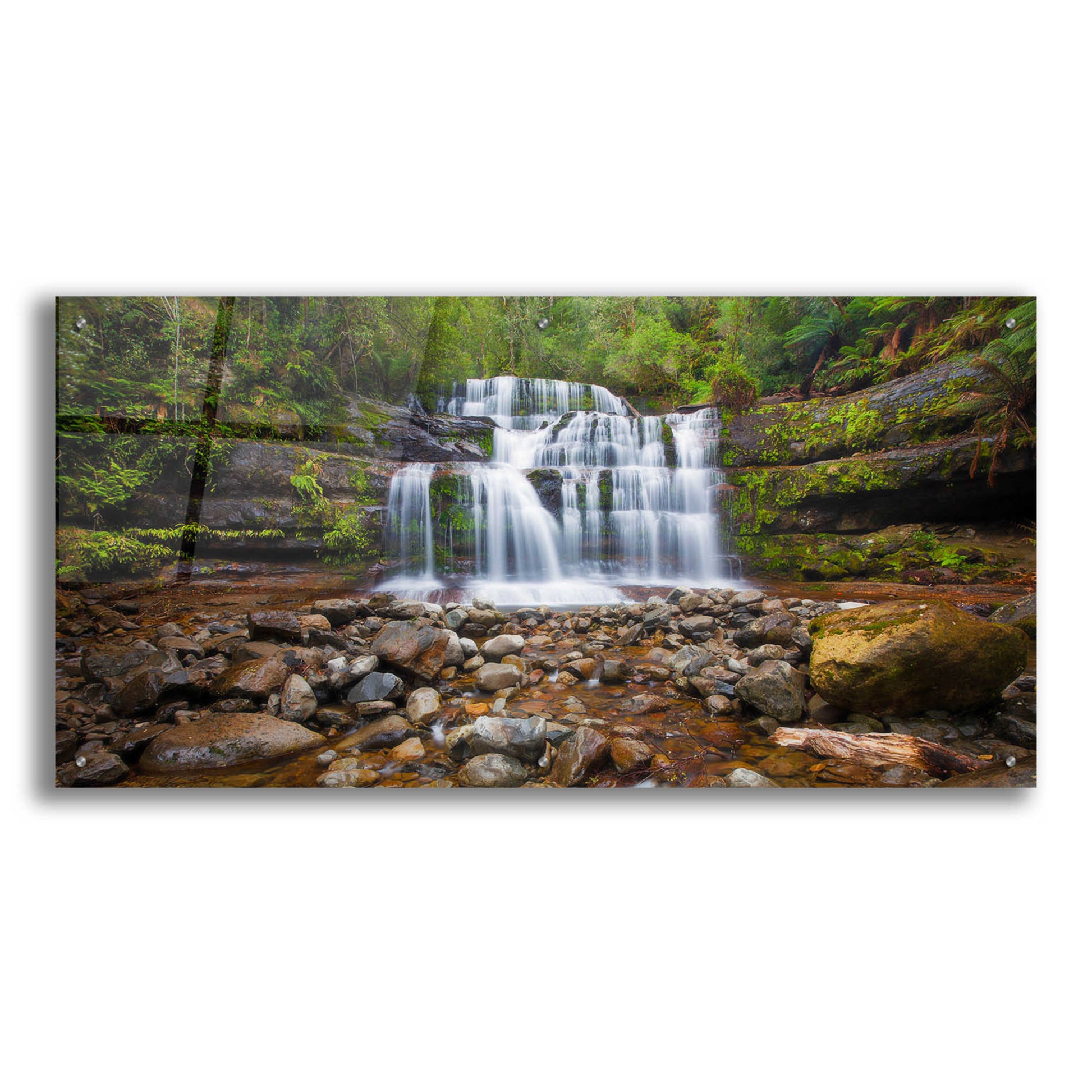 Epic Art 'Liffey Falls' by Everlook Photography, Acrylic Glass Wall Art,48x24