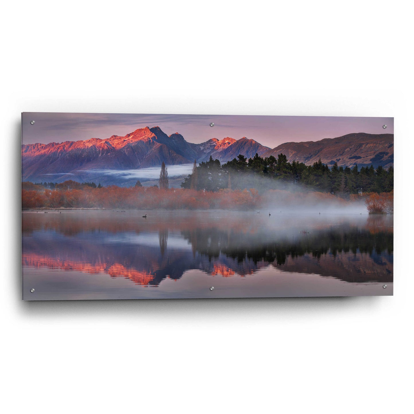 Epic Art 'Glenorchy Mists' by Everlook Photography, Acrylic Glass Wall Art,48x24