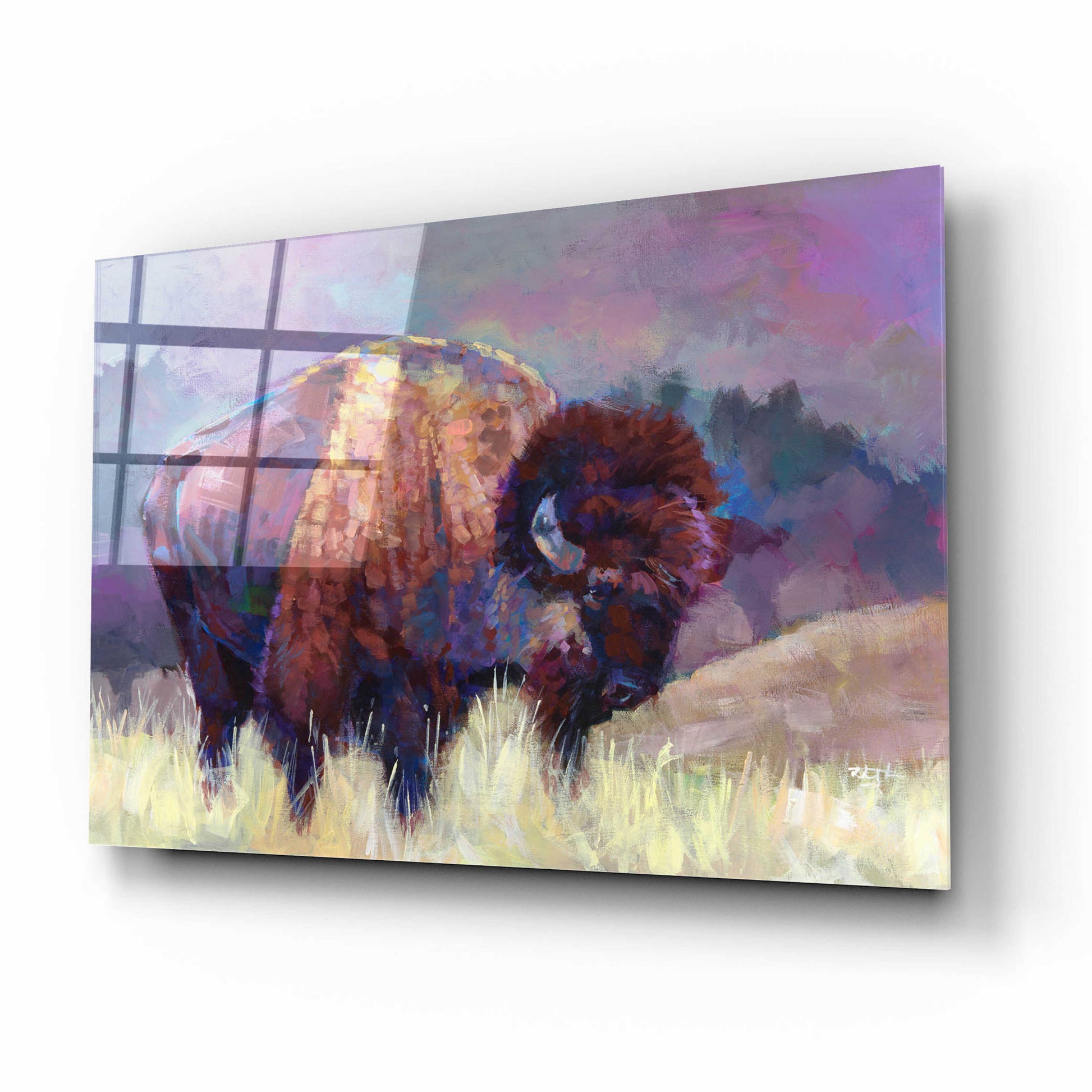 Epic Art 'Buffalo Roam' by Robert Jackson, Acrylic Glass Wall Art,16x12