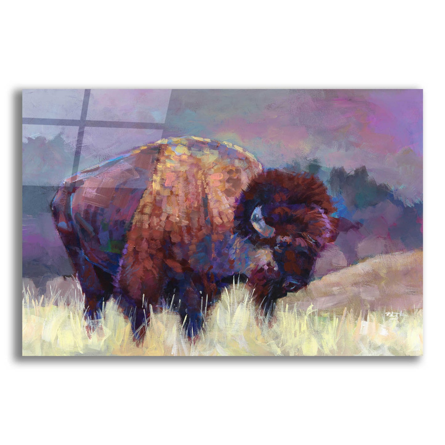 Epic Art 'Buffalo Roam' by Robert Jackson, Acrylic Glass Wall Art,16x12