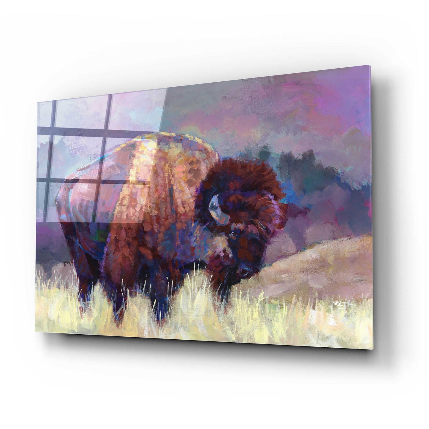 Epic Art 'Buffalo Roam' by Robert Jackson, Acrylic Glass Wall Art,24x16