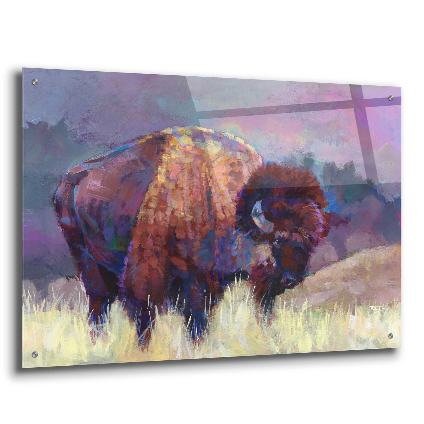 Epic Art 'Buffalo Roam' by Robert Jackson, Acrylic Glass Wall Art,36x24