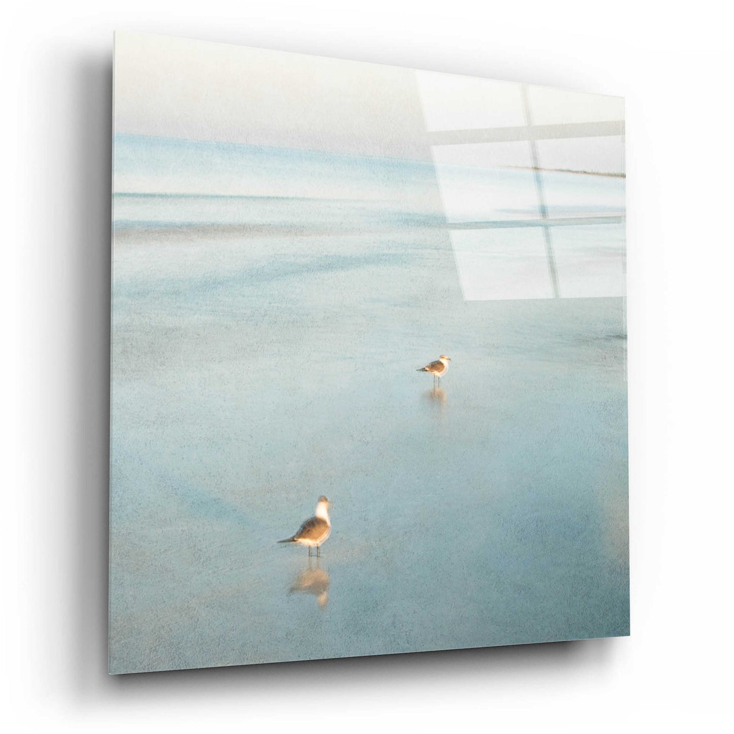 Epic Art 'Two Birds on Beach' by John Juracek, Acrylic Glass Wall Art,12x12