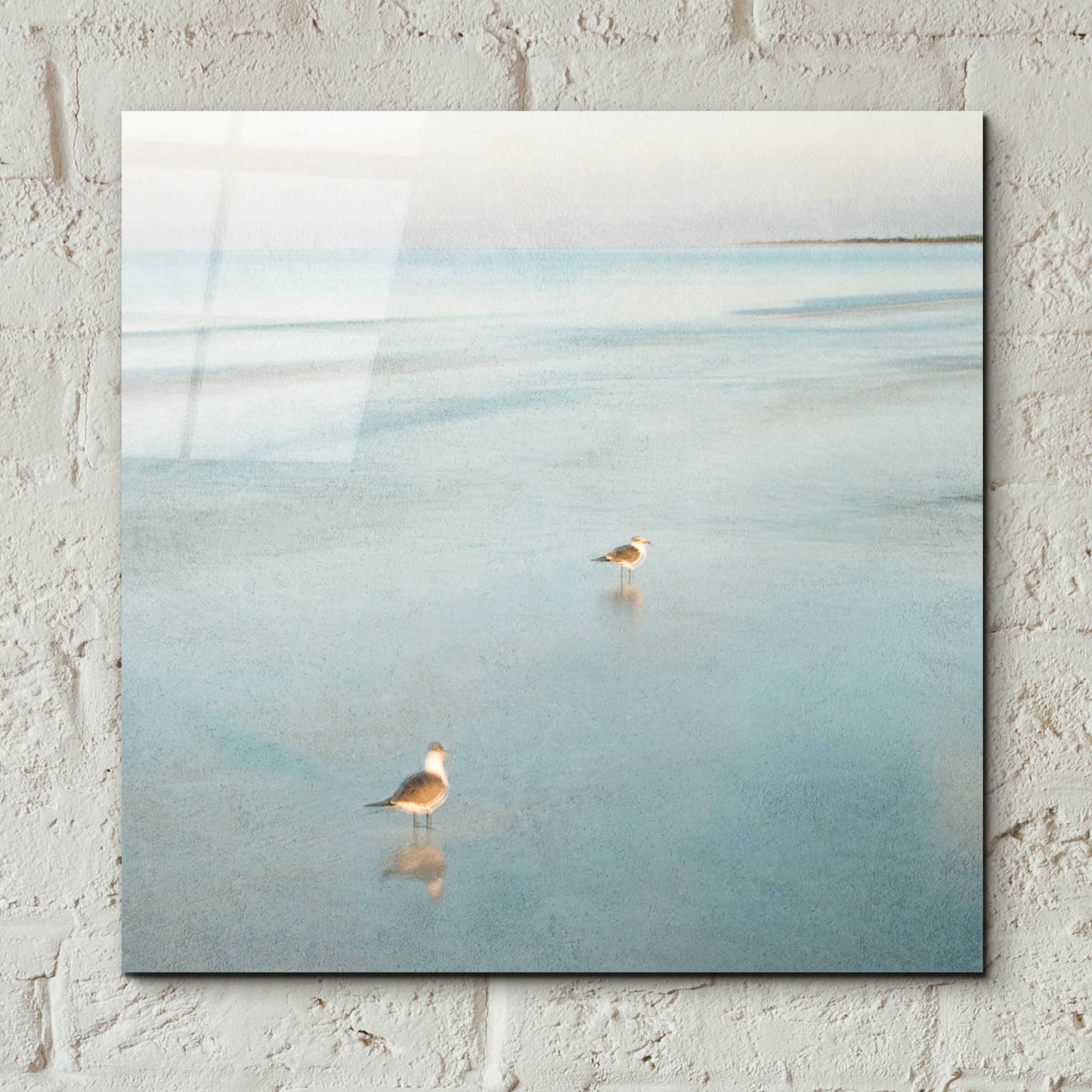 Epic Art 'Two Birds on Beach' by John Juracek, Acrylic Glass Wall Art,12x12