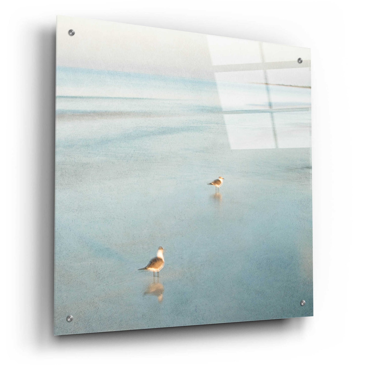 Epic Art 'Two Birds on Beach' by John Juracek, Acrylic Glass Wall Art,24x24