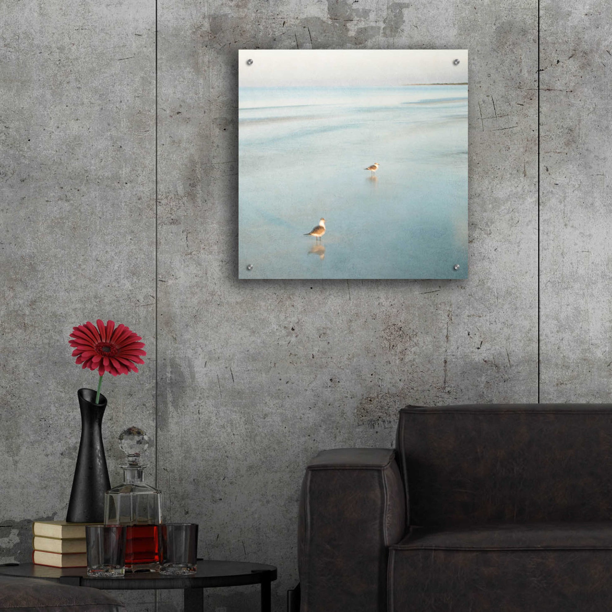 Epic Art 'Two Birds on Beach' by John Juracek, Acrylic Glass Wall Art,24x24