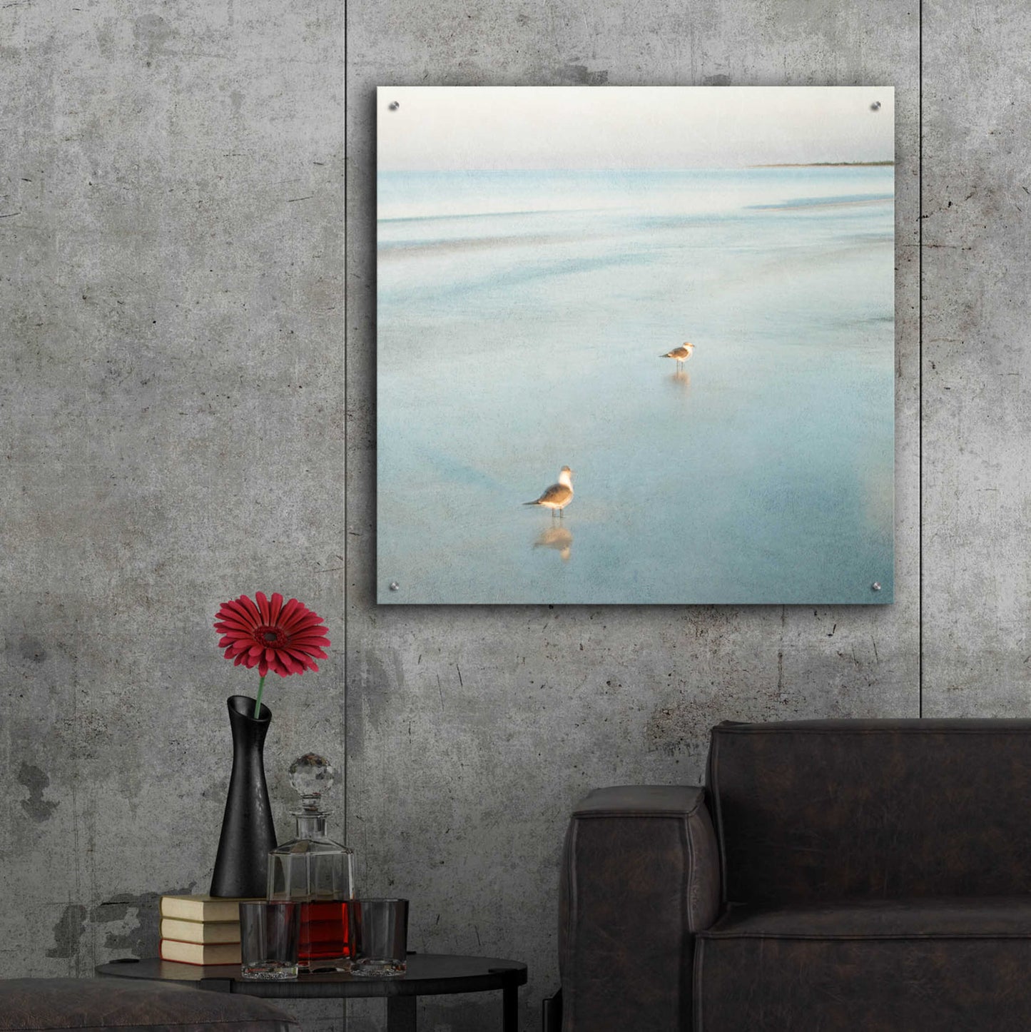 Epic Art 'Two Birds on Beach' by John Juracek, Acrylic Glass Wall Art,36x36